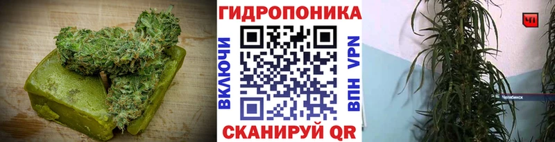 как найти наркотики  Аша  Cannafood марихуана 