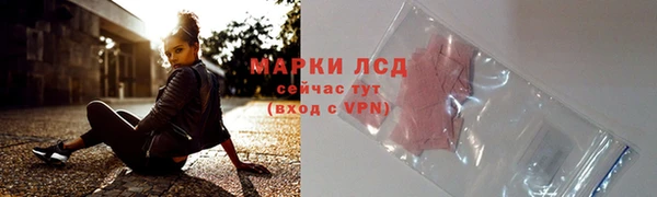 трава Новозыбков