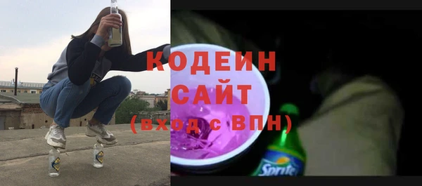 молекула духа Арсеньев