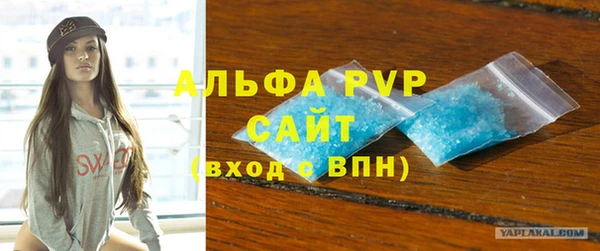 молекула духа Арсеньев