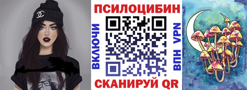 Псилоцибиновые грибы мицелий цены Аша